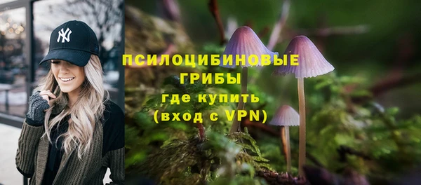 прущий лед Алексеевка