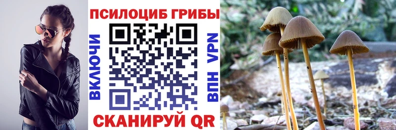 Галлюциногенные грибы GOLDEN TEACHER  Макушино 